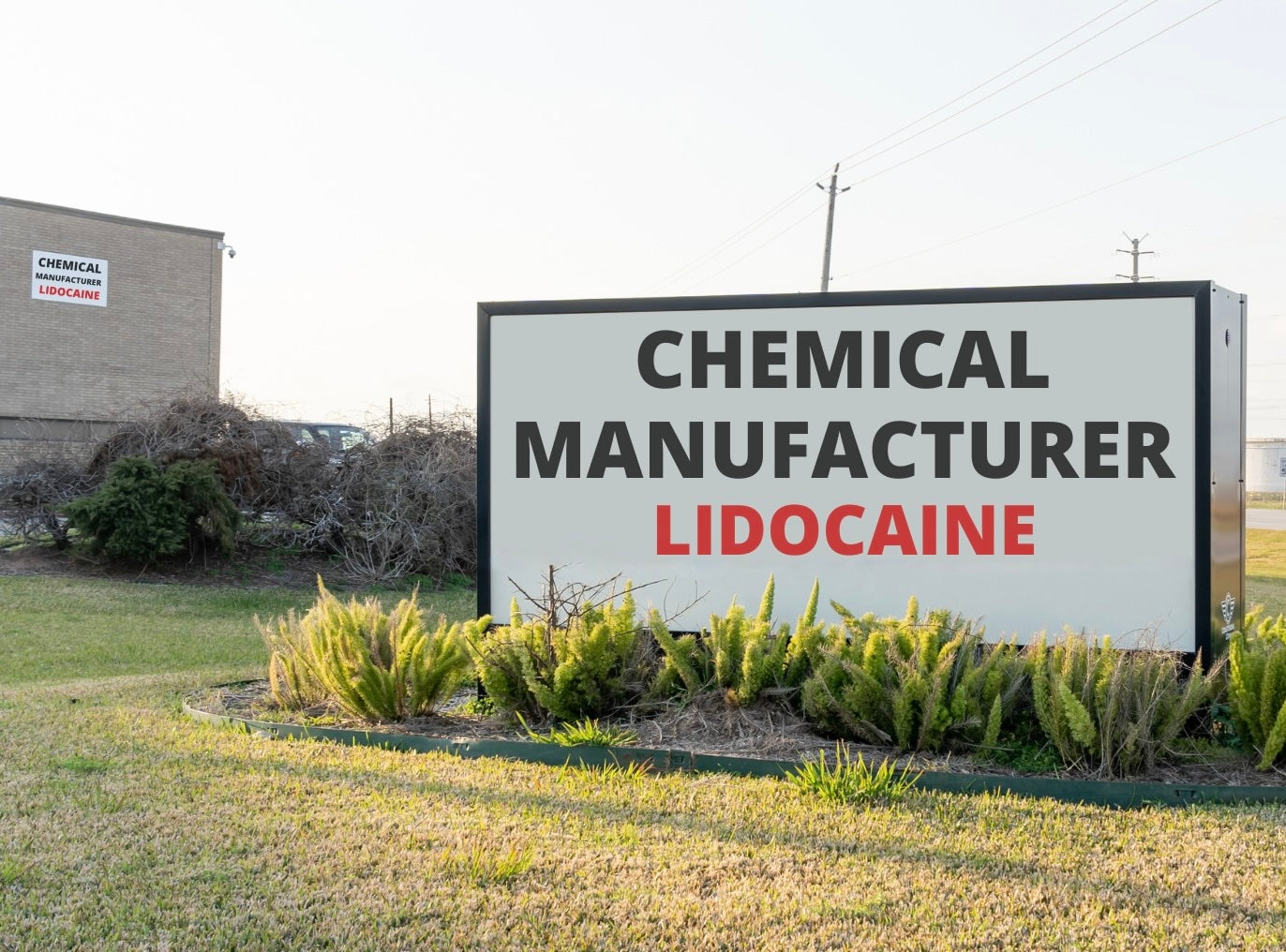 Lidocaine.com